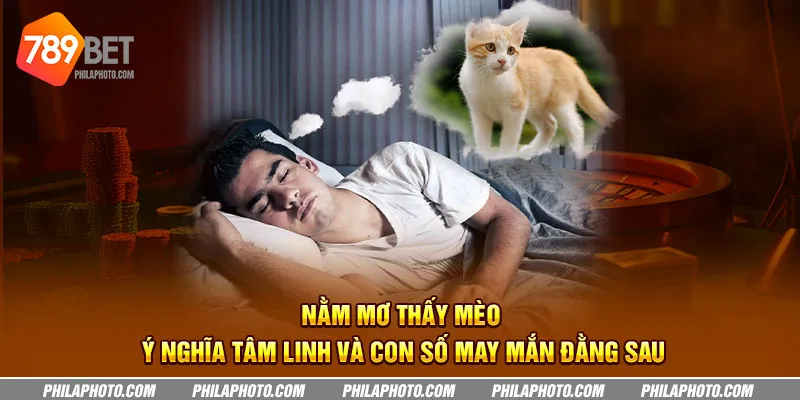 nam mo thay meo y nghia tam linh va con so may man dang sau 7 11zon