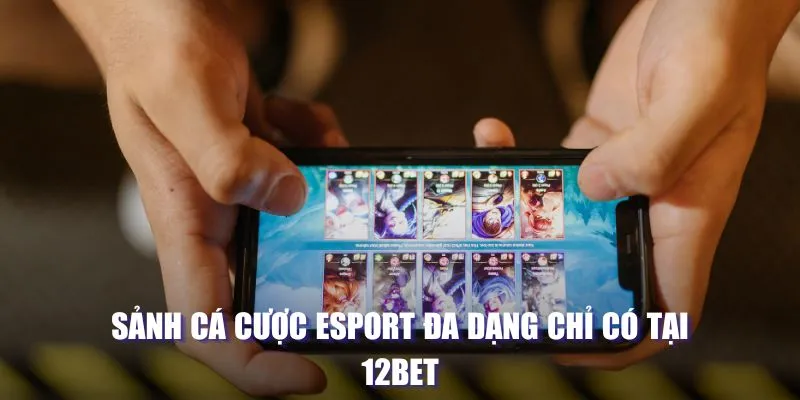 Sảnh cá cược Esport đa dạng chỉ có tại 12BET