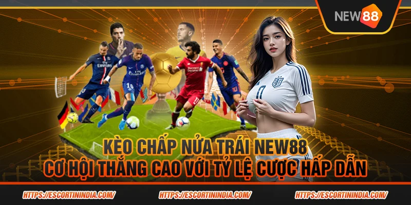 Kèo chấp nửa trái New88 – Cơ hội thắng cao với tỷ lệ cược hấp dẫn
