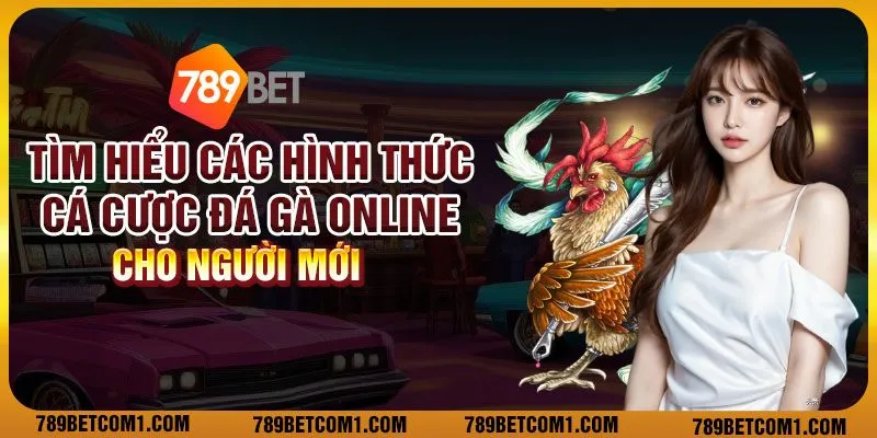 Các thứ hạng tay bài poker: Những điều bạn cần nắm vững