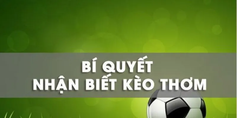 Bật mí bí quyết nhận biết kèo thơm hiệu quả mỗi ngày