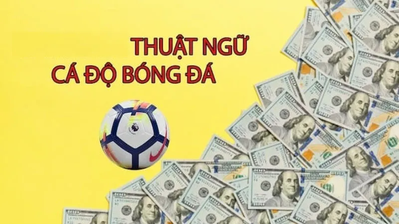 Tầm quan trọng khi nắm bắt các thuật ngữ cá độ bóng đá