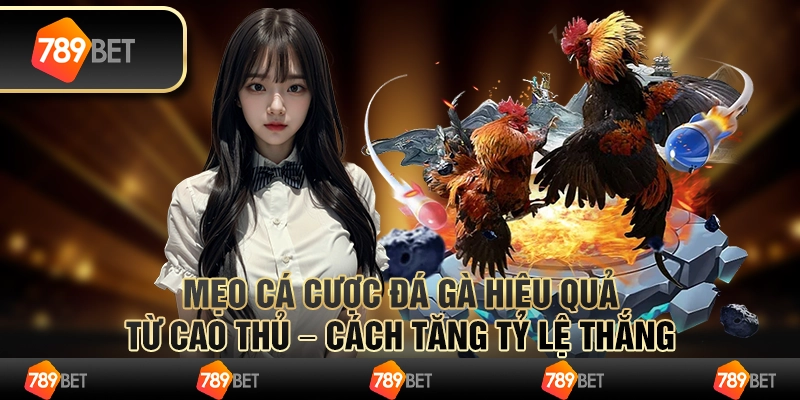 Mẹo cá cược Đá Gà hiệu quả từ cao thủ – Cách tăng tỷ lệ thắng
