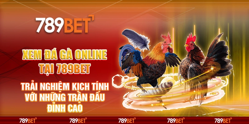 Xem đá gà online tại 789Bet - Trải nghiệm kịch tính với những trận đấu đỉnh cao