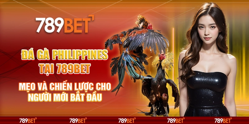 Đá gà Philippines tại 789Bet - Mẹo và chiến lược cho người mới bắt đầu