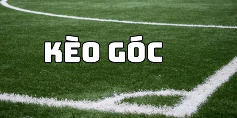 Hướng dẫn cách soi kèo tài xỉu chuẩn cho người mới 2 Tổng quan sơ lược về kèo tài xỉu