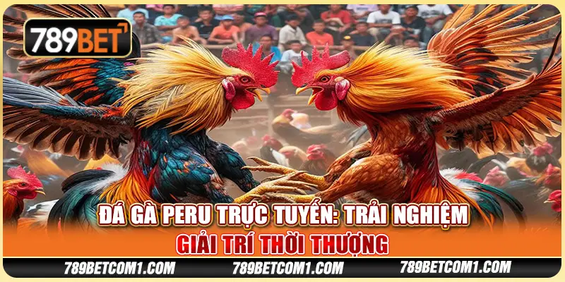 Đá gà Peru trực tuyến tại 789Bet - Trải nghiệm giải trí thời thượng
