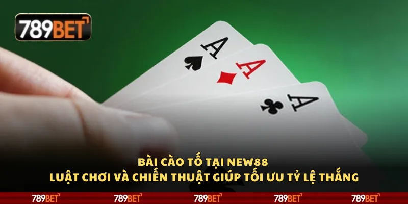 Bài cào tố tại 789Bet – Luật chơi và chiến thuật giúp tối ưu tỷ lệ thắng