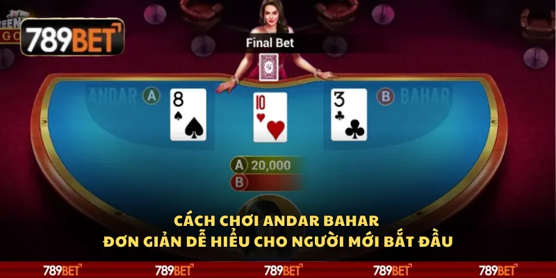 Cách chơi Andar Bahar đơn giản dễ hiểu cho người mới bắt đầu