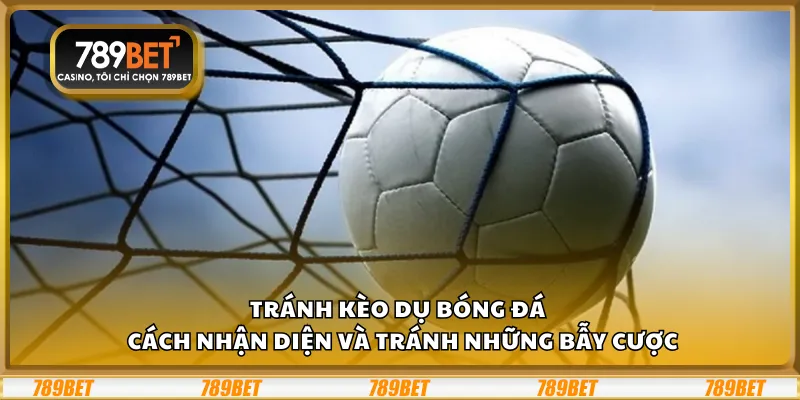 Tránh kèo dụ bóng đá – Cách nhận diện và tránh những bẫy cược