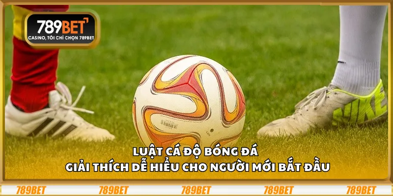 Luật cá độ bóng đá – Giải thích dễ hiểu cho người mới bắt đầu